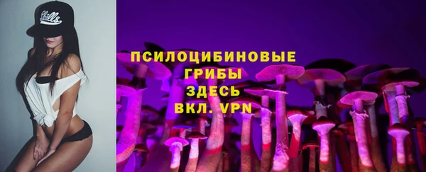 2c-b Коряжма
