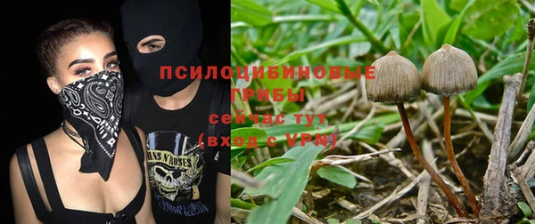 2c-b Коряжма