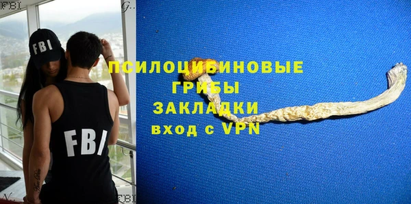 2c-b Коряжма
