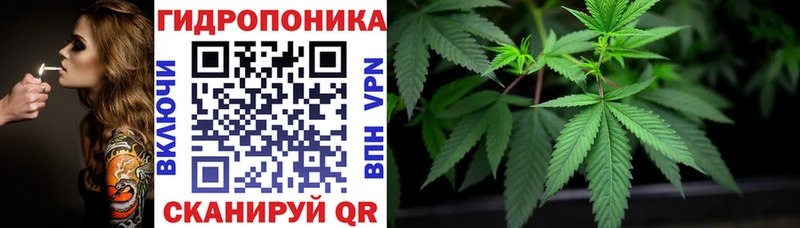 МЕГА онион  Ессентукская  Бошки Шишки индика 